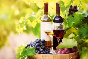 shutterstock_249415567